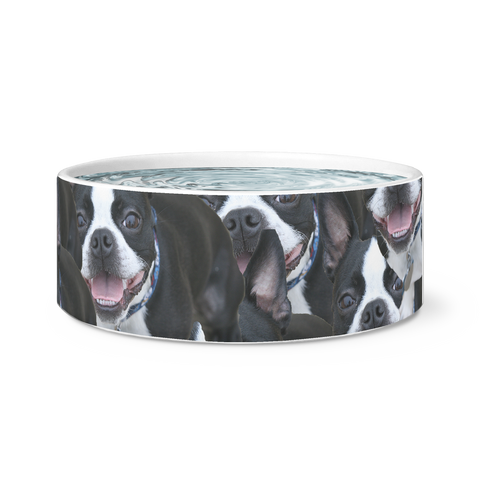 Boston Terrier Pet dog bowl