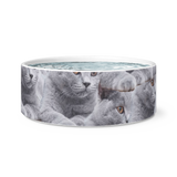 Pet Cat pet bowl