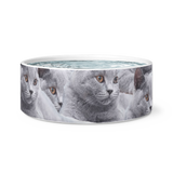 Pet Cat pet bowl