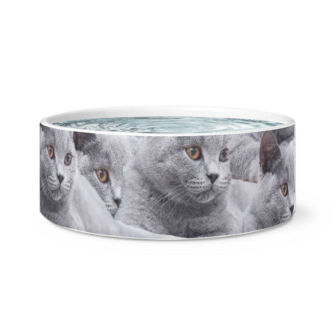 Pet Cat pet bowl