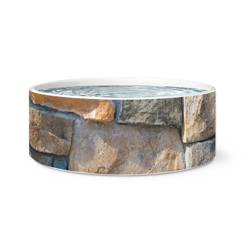 Rock Wall Pet bowl