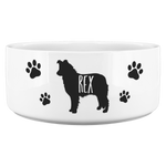 Rex dog bowl collie