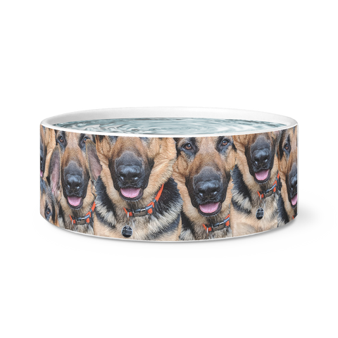 MY pet face dog bowl